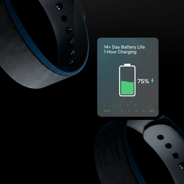 14+ Day Battery